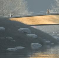 Winner chosen in German footbridge design contest image