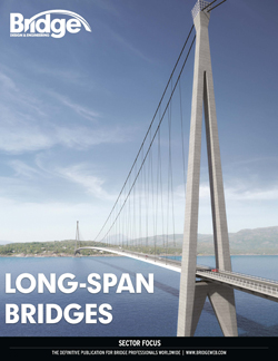 Long span bridges
